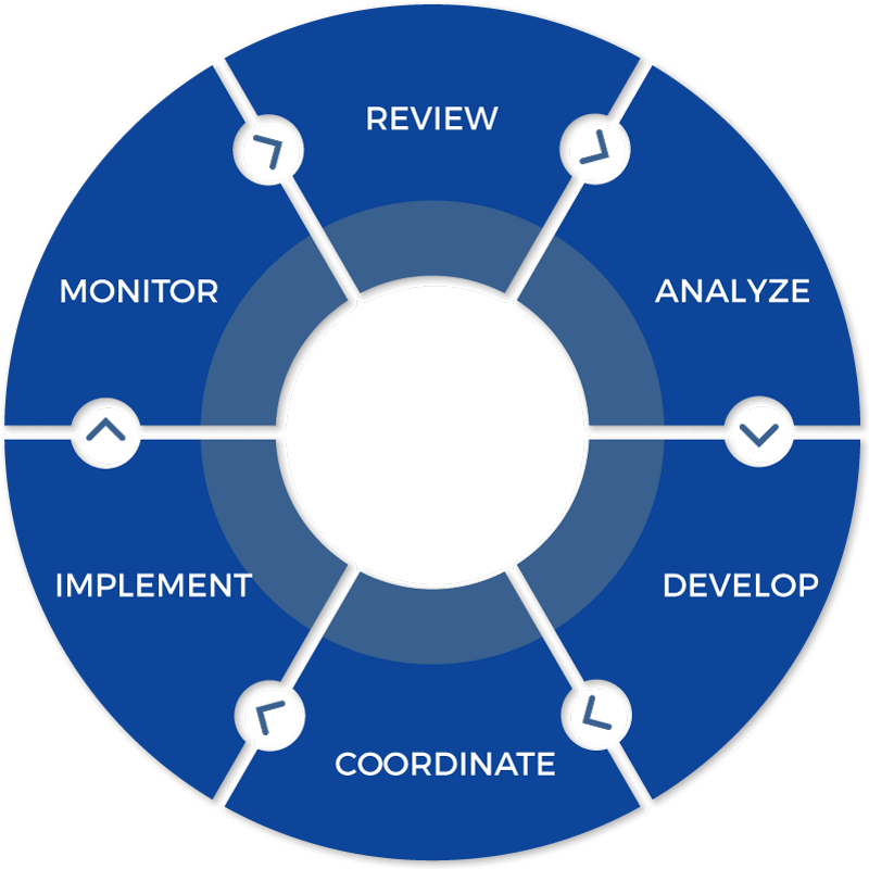 Process Wheel Graphic