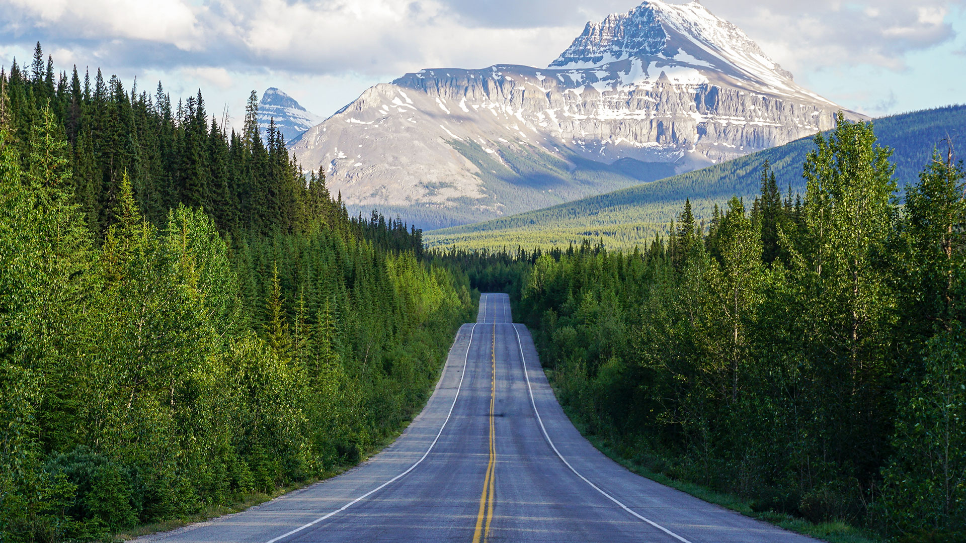 Road leading through a forest below a mountain