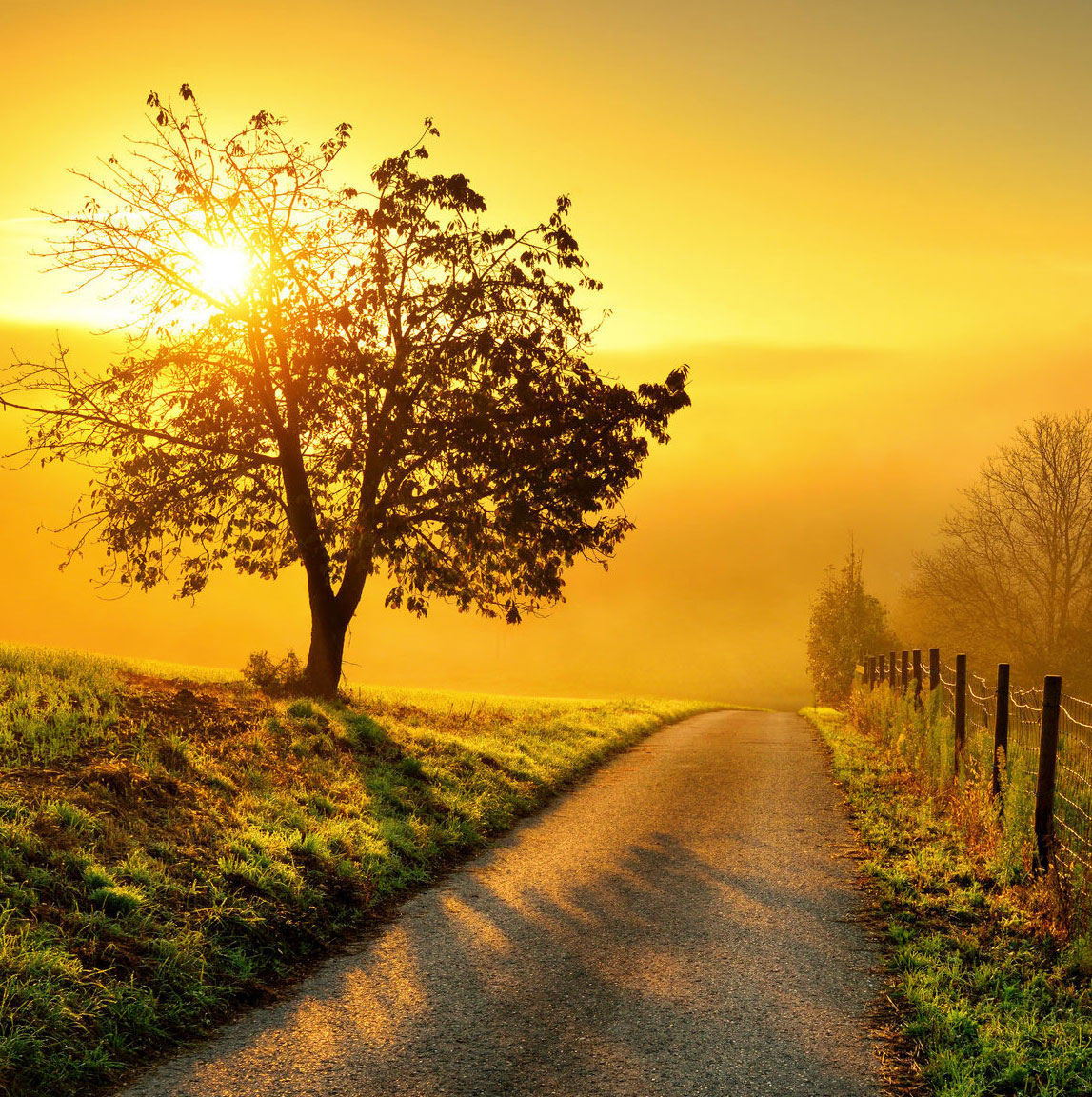 Path at sunrise