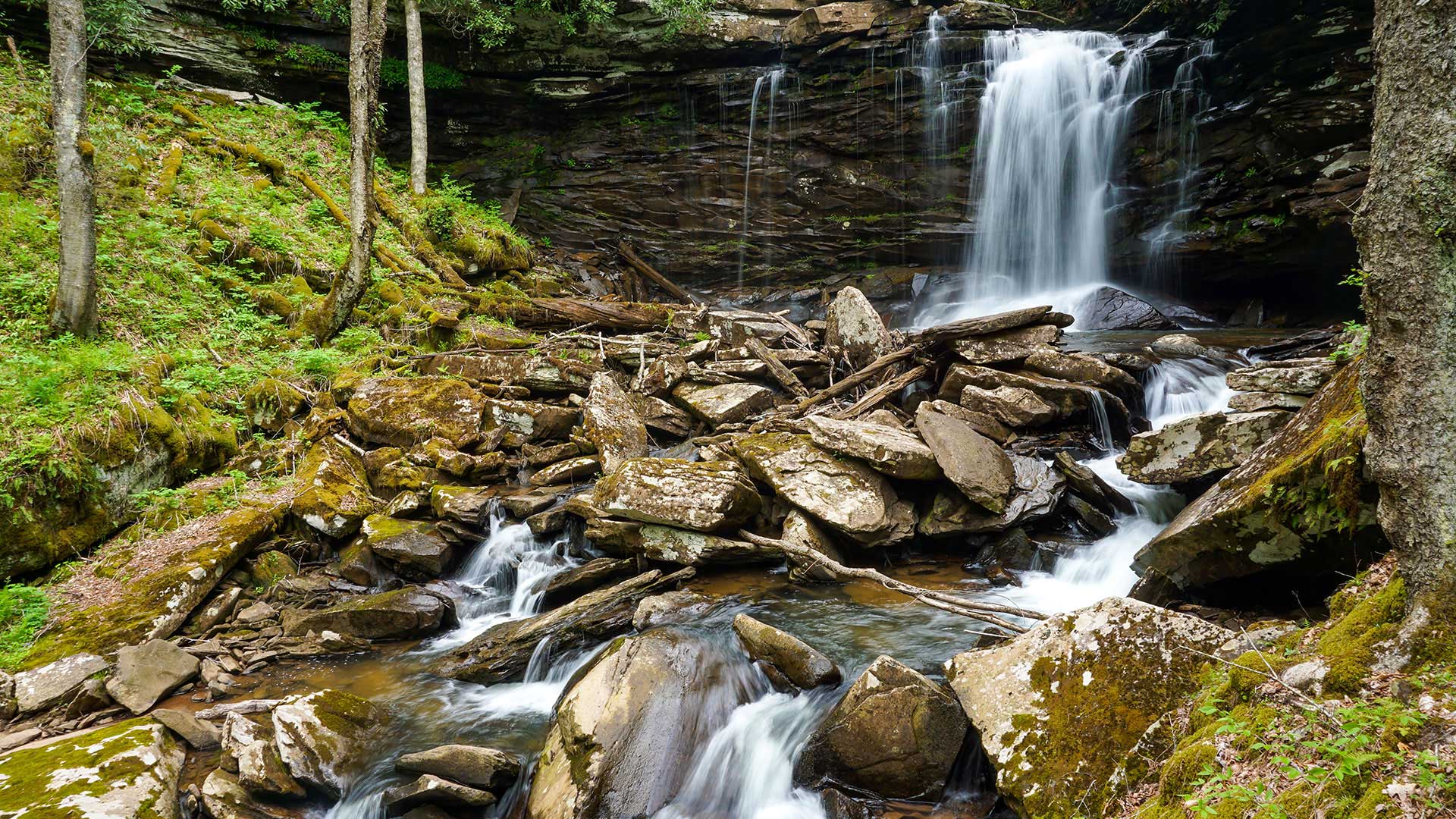 Small waterfall in a creek 