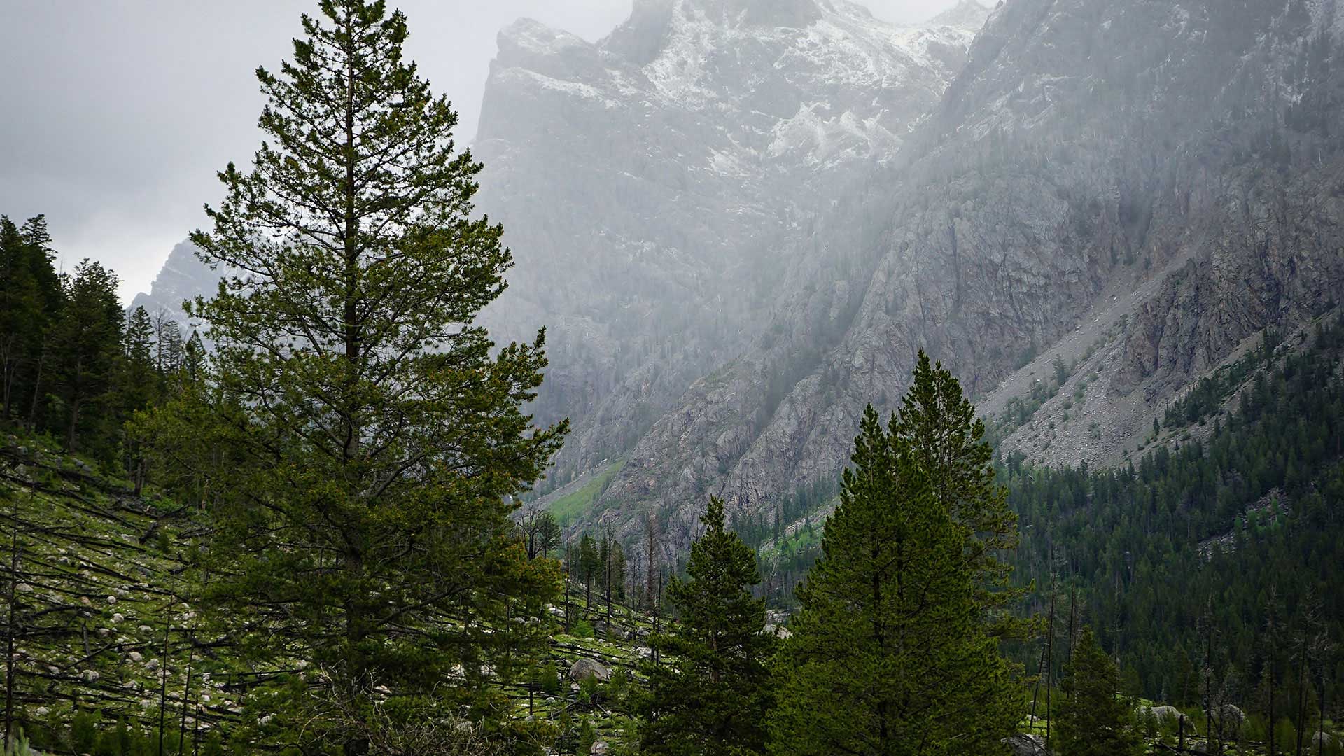 Mountains with fog