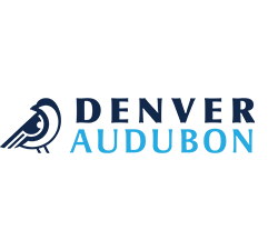 Denver Audubon logo