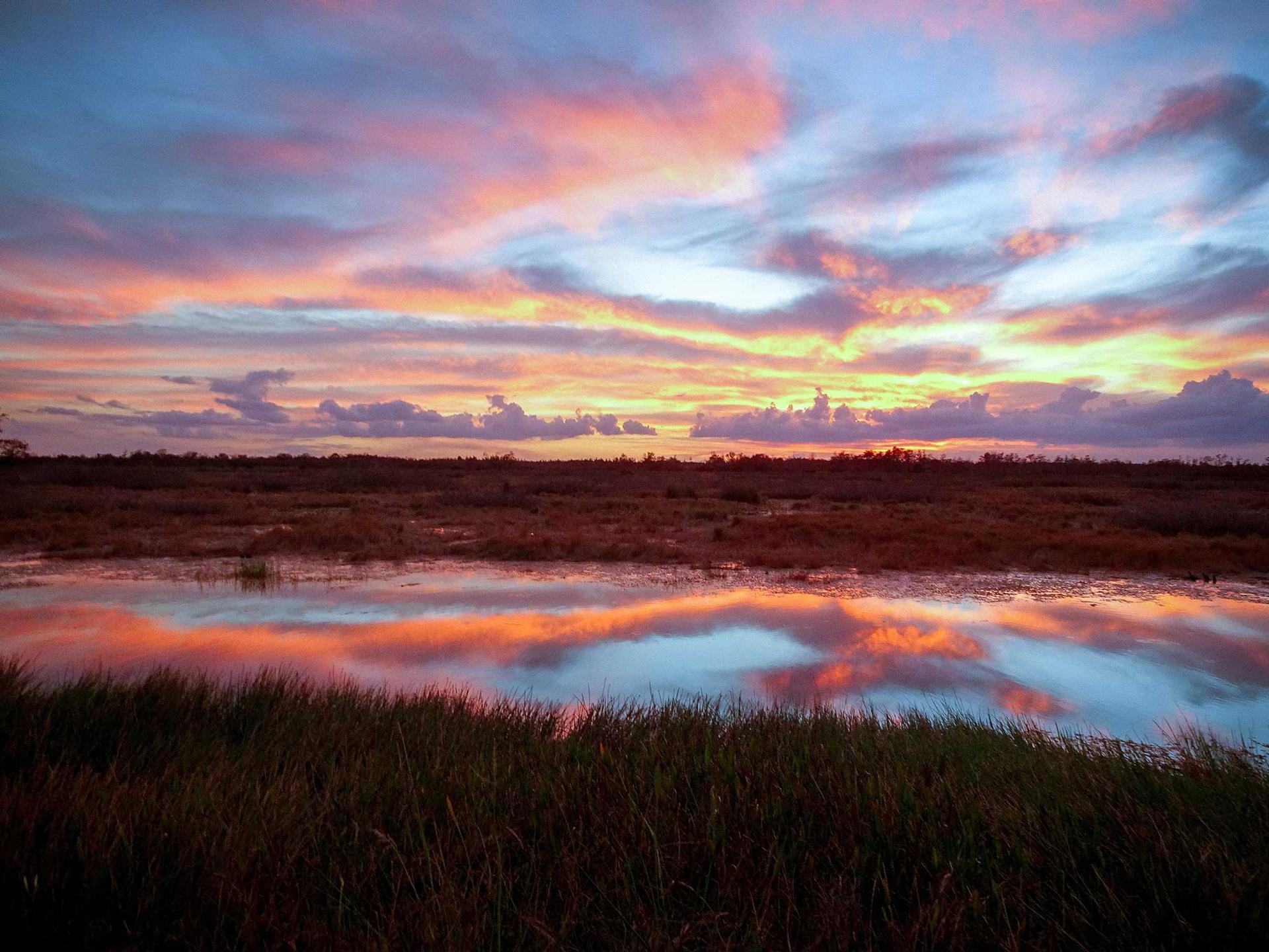 stunning sunset reflects into a river in the swamp