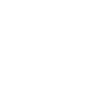 Roman numeral 5