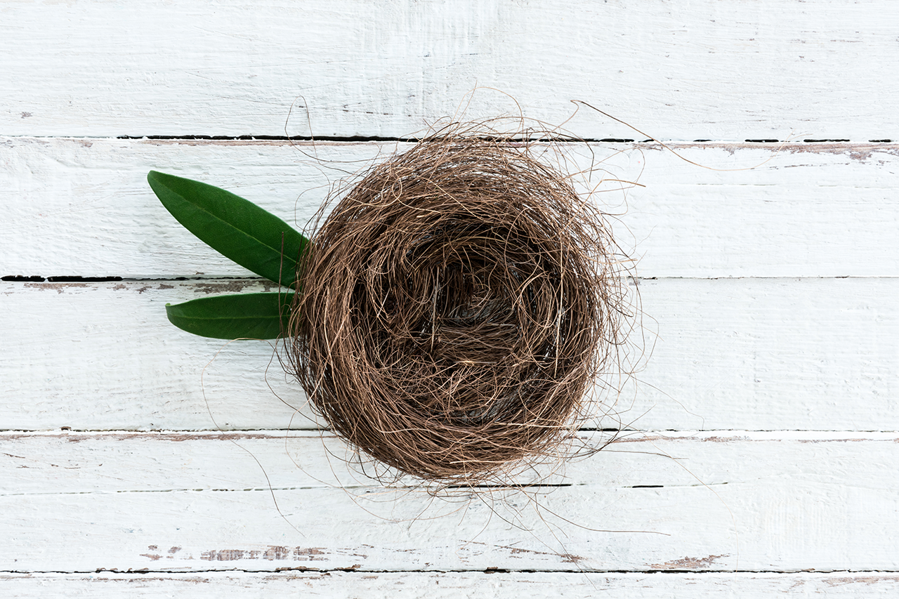 empty nest