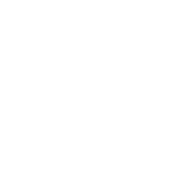 icon- consultation