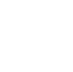 team icon