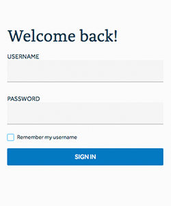 NYL VSC Login Screen