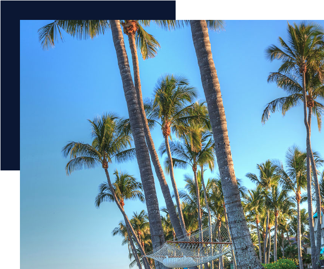 Photo of palm trees on the beach 
