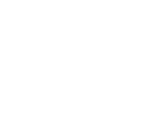 APG Logo White
