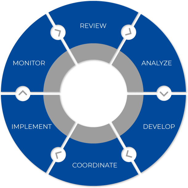 ProWealth Process Wheel
