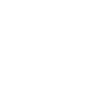 shield check icon