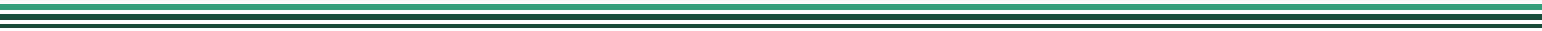 footer divider line