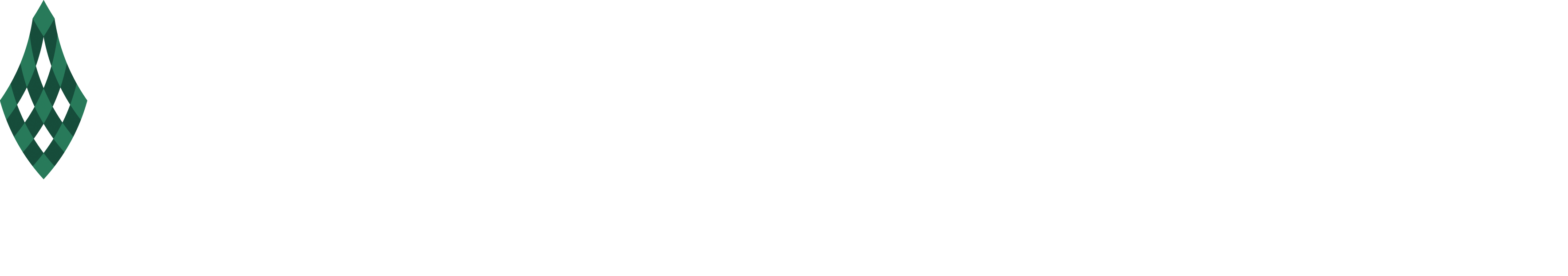 white background white text