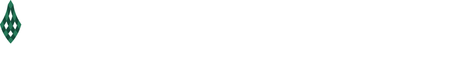 top logo- white