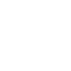Roman numeral 1