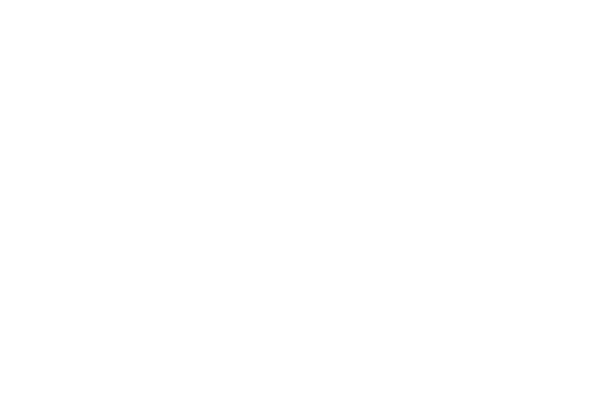 PIFS Logo 2026 White