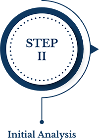 Step 2 - Initial Analysis