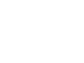 Paulsen logo - white 