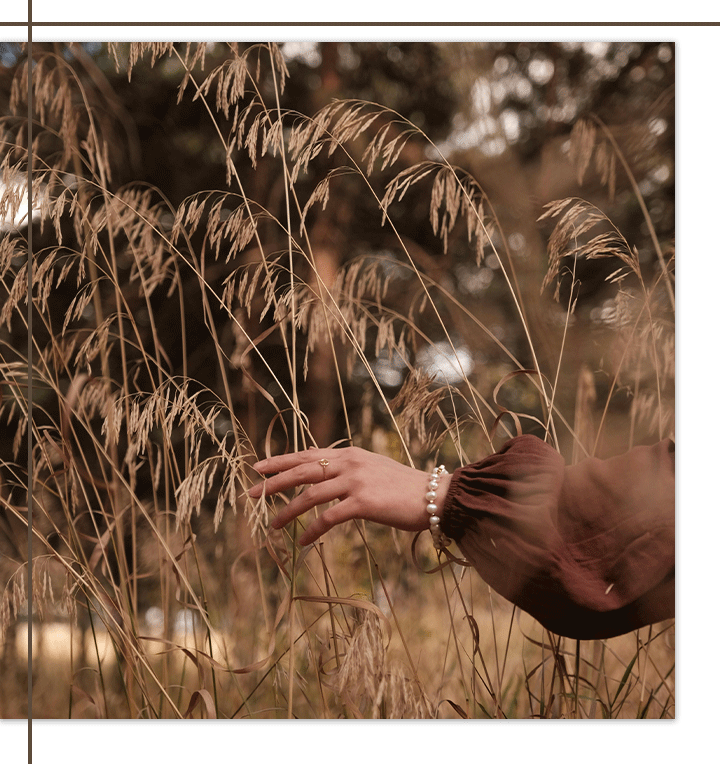 A hand gently brushing through tall, dry grass in a field.