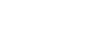 Epilepsy Foundation logo - white