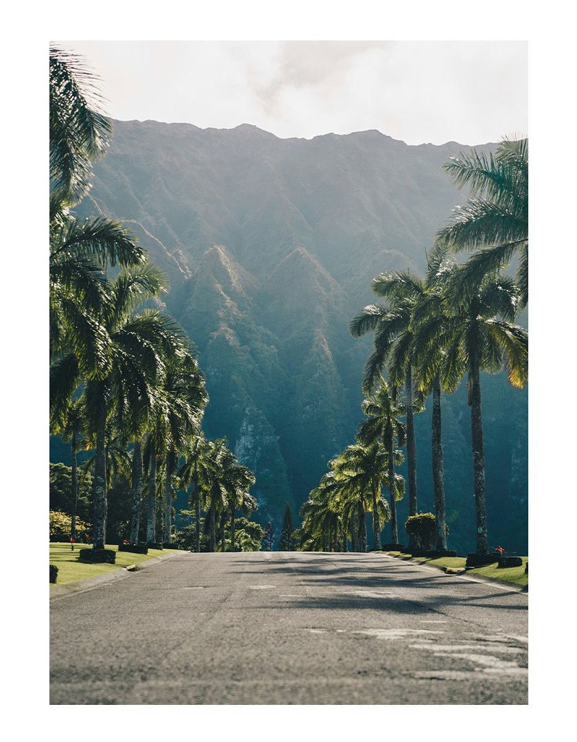 A palm-lined road leads toward lush green mountains under a partly cloudy sky.
