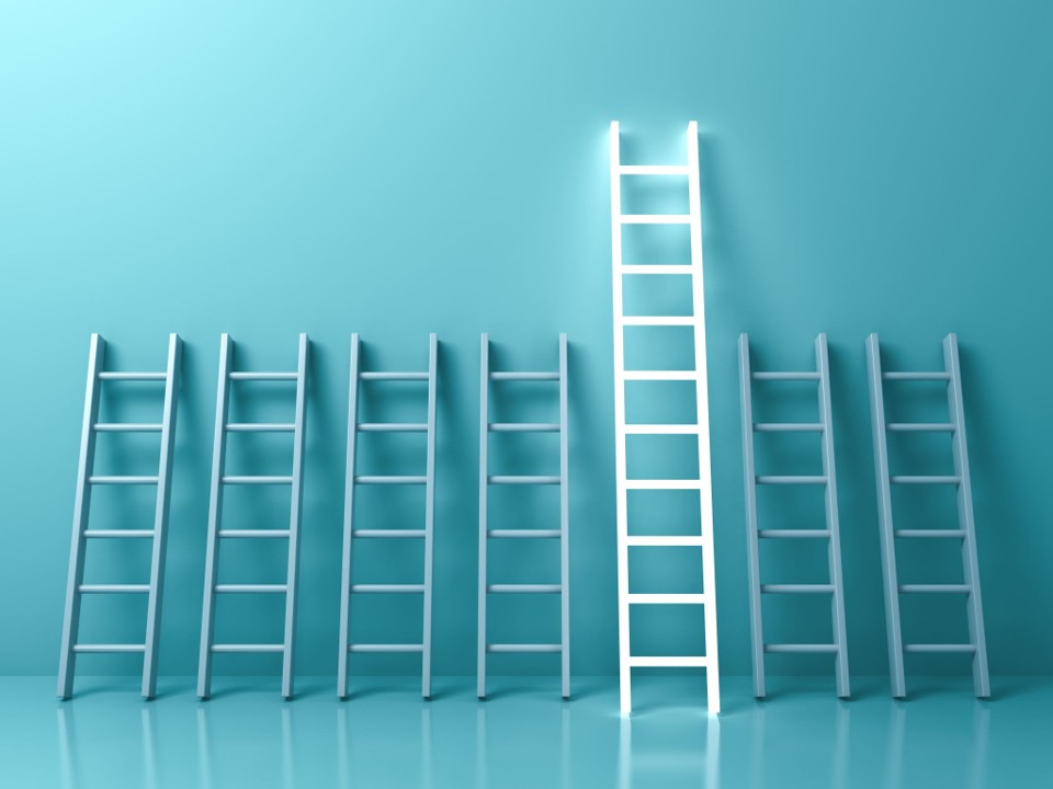 Ladder