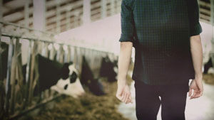 jerry-300x169