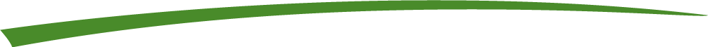 Green tier slash > Divider