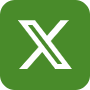 x icon
