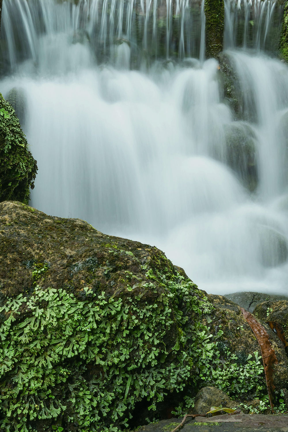 upclose view of a waterfall