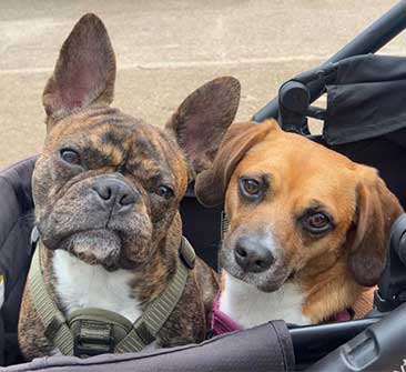 Naomi personal photo 4