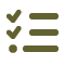 checklist icon