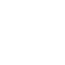 globe icon