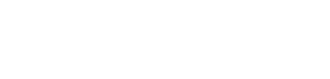 Fidara updated logo white