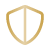 shield icon